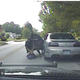 Bryce Masters went into cardiac arrest after having a Taser used on him for more than 20 seconds by then-Independence, Mo., Police Officer Timothy Runnels.
YouTube